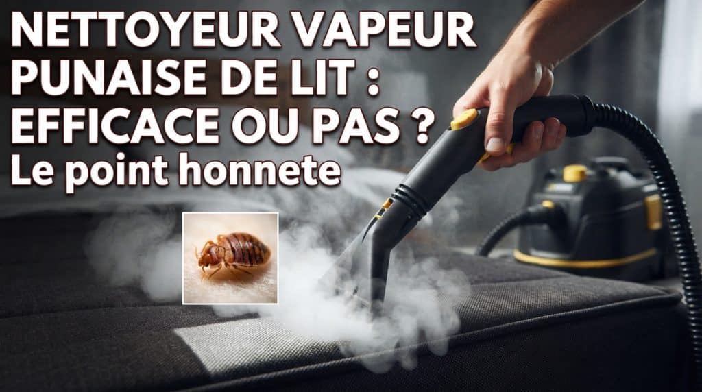 Utilisation d'un nettoyeur vapeur professionnel pour éliminer les punaises de lit sur un matelas, avec encart montrant une punaise de lit.